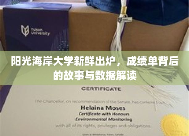 阳光海岸大学最新成绩单，揭示背后的故事与数据解读