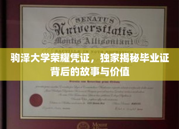 驹泽大学毕业证书，探寻荣耀凭证的传奇历程与珍贵意义
