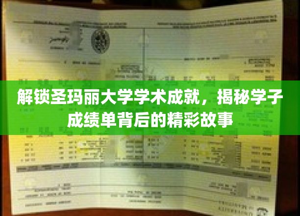 圣玛丽学子风采录，揭开学术巅峰背后的传奇历程