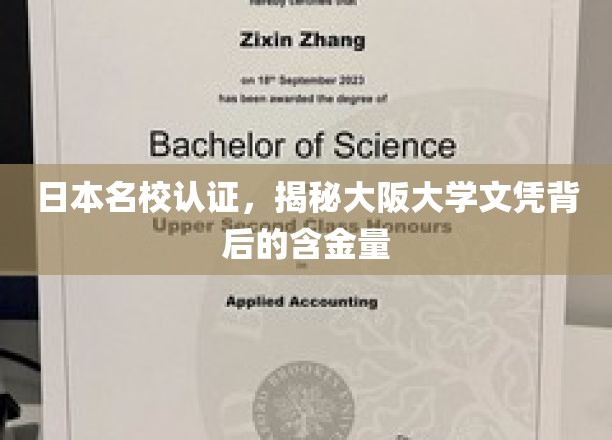 大阪大学文凭，日本名校认证，价值何在？
