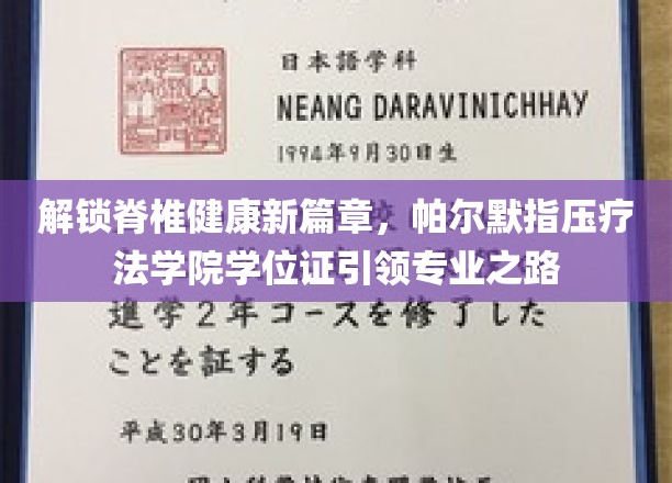 帕尔默指压疗法，开启健康脊椎新旅程——学位证成就专业精英之路