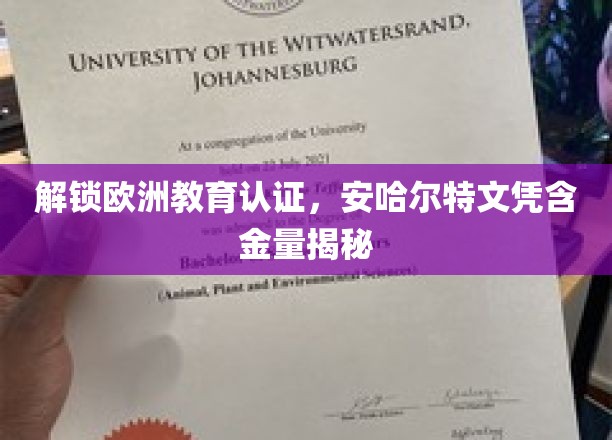 欧洲教育认证新视角，揭秘安哈尔特大学文凭的全球价值