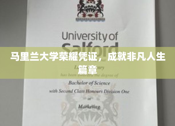 马里兰大学荣耀证书，开启非凡人生新篇章