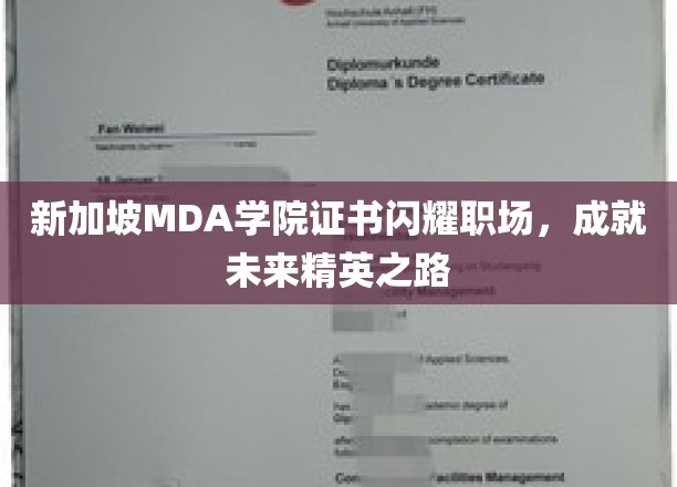新加坡MDA学院证书闪耀职场，成就未来精英之路