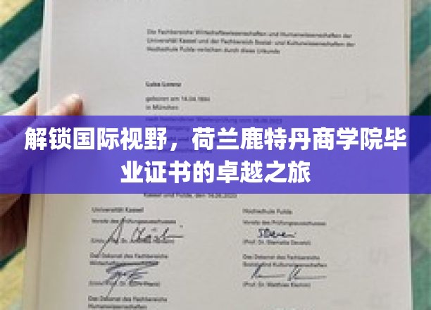 解锁国际视野，荷兰鹿特丹商学院毕业证书的卓越之旅