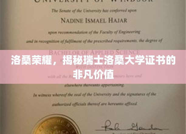 瑞士洛桑大学证书，开启国际认可的教育之门