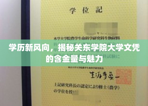 关东学院，学历新贵，揭秘文凭价值与独特魅力