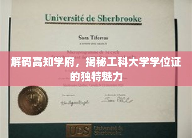 解码顶尖学府，探寻工科大学学位证的独特魅力