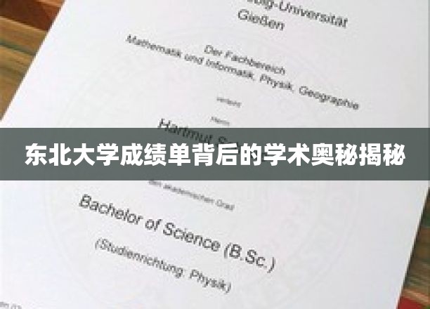 东北大学成绩单背后的学术奥秘解析