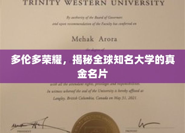 多伦多荣耀，揭秘全球知名大学的真金名片