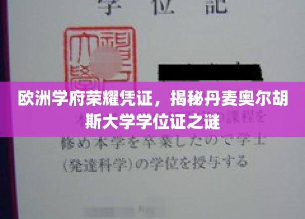 欧洲学府荣耀凭证，揭秘丹麦奥尔胡斯大学学位证之谜