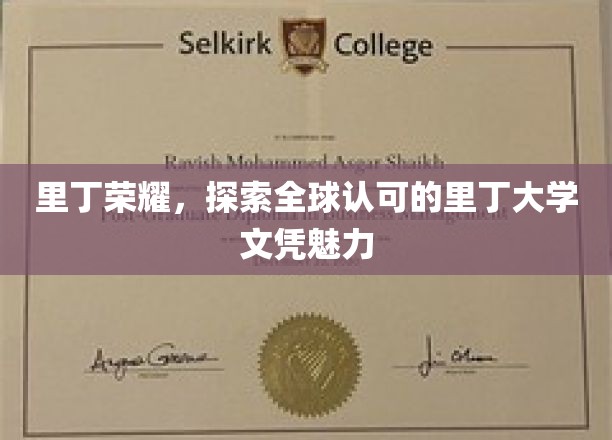 解码里丁荣耀，全球瞩目的大学文凭魅力之旅