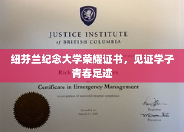纽芬兰纪念大学荣耀证书，见证学子青春足迹