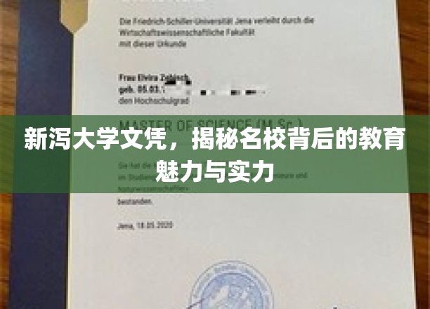 新泻大学文凭，揭秘名校背后的教育魅力与实力