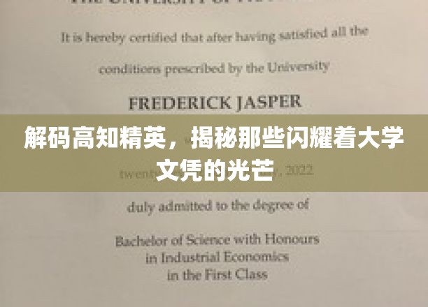 解码高知精英，揭秘那些闪耀着大学文凭的光芒