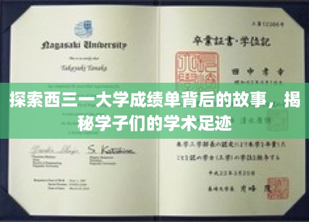 西三一大学成绩单里的青春轨迹，一窥学子们的学术成长之路