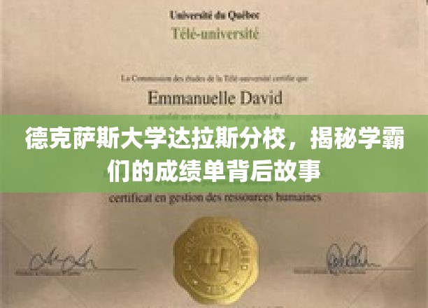德克萨斯大学达拉斯分校，揭秘学霸们的成绩单背后故事