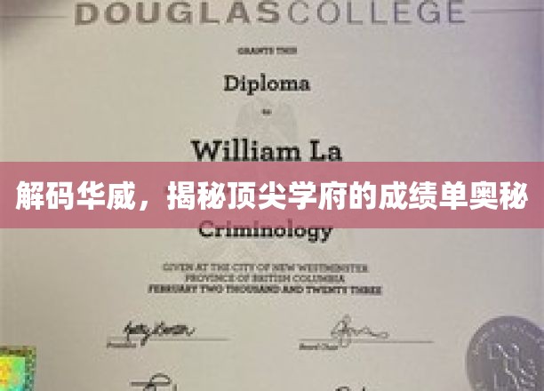 揭开华威大学辉煌成就背后的秘密，探寻卓越教育的秘籍