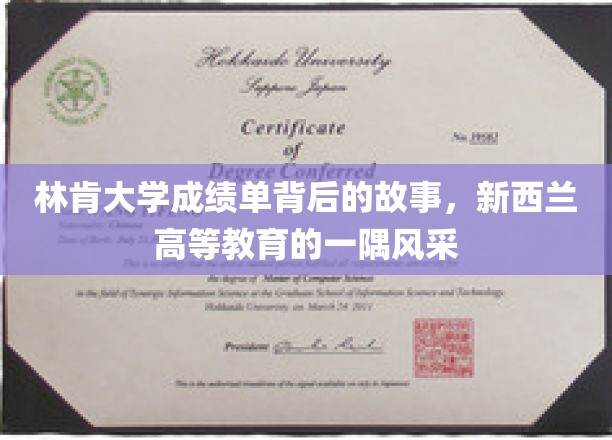 解码林肯，揭秘新西兰高教秘境中的成绩单传奇