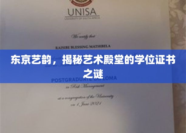 东京艺韵，揭秘艺术殿堂的学位证书之谜
