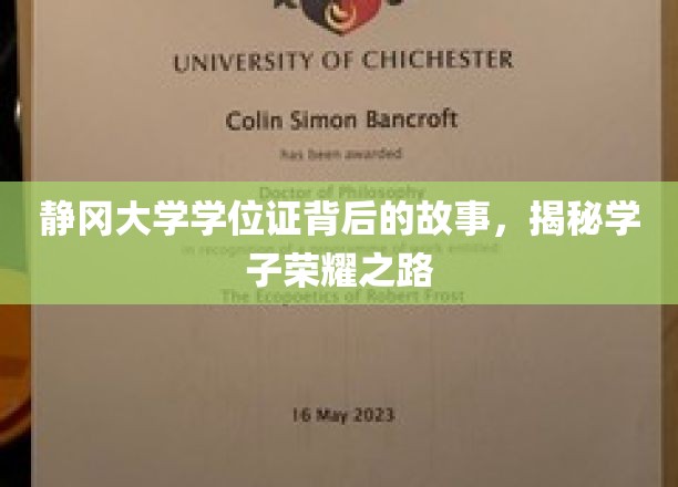 静冈大学荣耀证章，探寻学子成就背后的传奇旅程