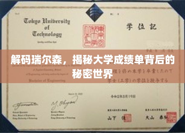 探索瑞尔森之谜，揭开大学成绩单的隐藏维度