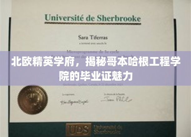 北欧精英学府，揭秘哥本哈根工程学院的毕业证魅力