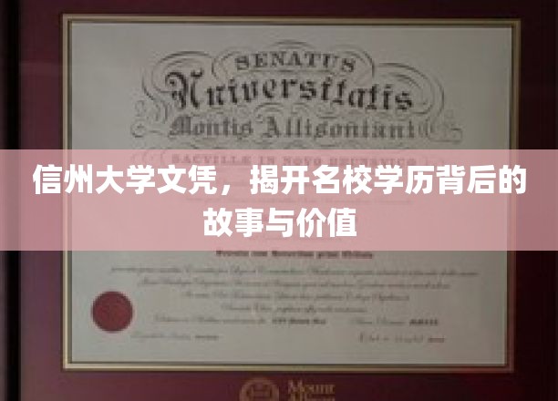 名校光环下的信州大学，揭秘学历背后的传奇与价值