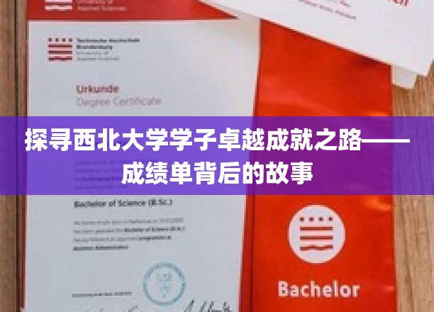 西北精英成长记，揭秘西北大学学子非凡成就背后的秘密