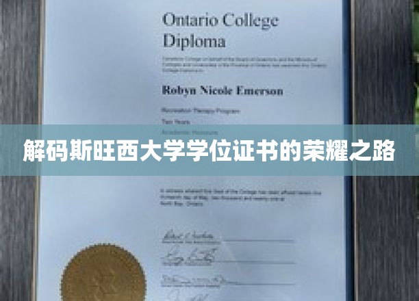 斯旺西大学学位证书背后的辉煌历程揭秘