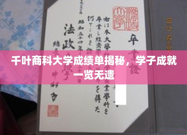 千叶商科大学成绩单揭秘，学子成就一览无遗