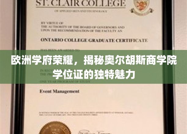 解锁欧洲精英教育，奥尔胡斯商学院学位证的非凡风采