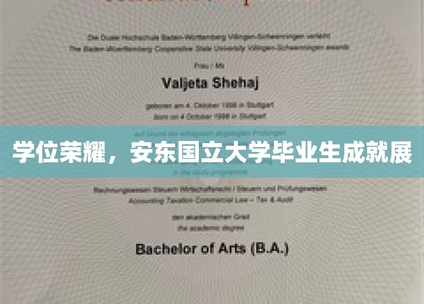 荣耀绽放，安东国立大学学子风采大赏