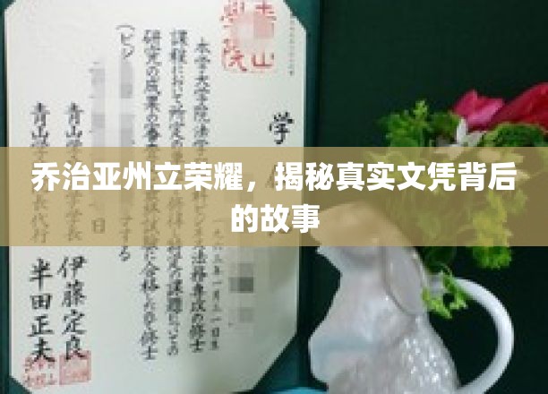 乔治亚荣耀之谜，探秘文凭背后的非凡传奇