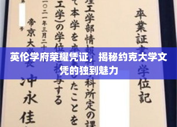 英伦学府荣耀凭证，揭秘约克大学文凭的独特魅力