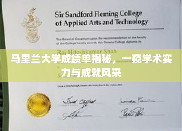 马里兰大学学术画卷，揭秘辉煌成就与卓越实力