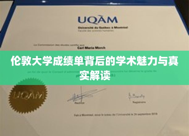 解码伦敦大学，成绩单中的学术奥秘与深度剖析