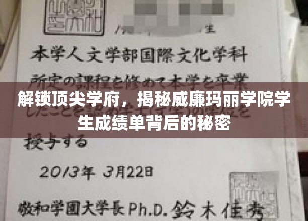 解锁顶尖学府，揭秘威廉玛丽学院学生成绩单背后的秘密