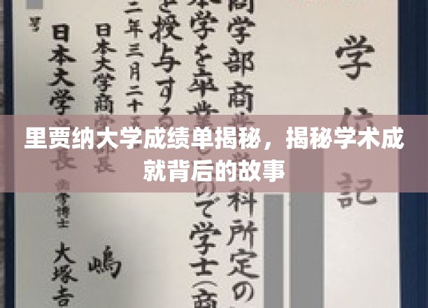 解码里贾纳大学卓越成就，揭开成绩单背后的真实故事