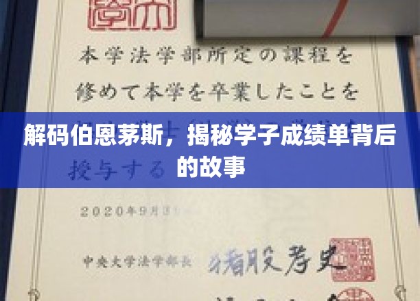 解码伯恩茅斯，探寻学子成绩单背后的故事