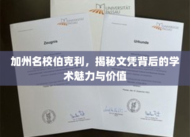 解码伯克利，探寻加州顶尖学府的文凭内涵与学术光环