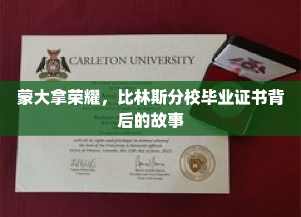 蒙大拿荣耀之光，比林斯分校证书背后的传奇与启示