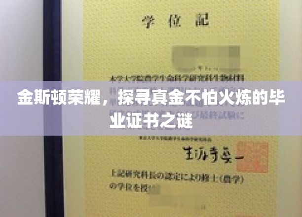 金斯顿荣耀，探寻真金不怕火炼的毕业证书之谜