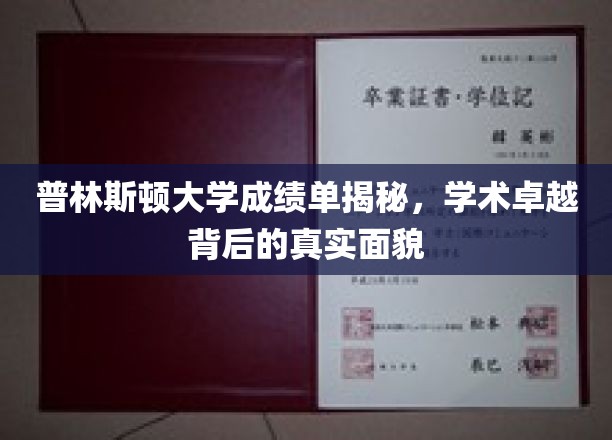普林斯顿精英养成记，揭开顶尖学府成绩单背后的奥秘