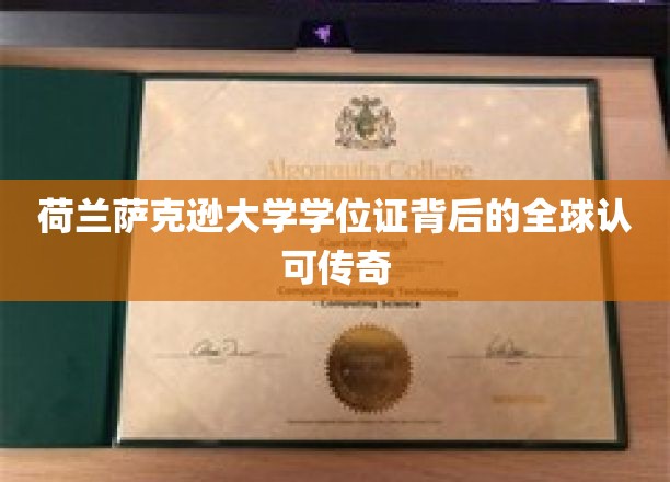 荷兰萨克逊大学学位证背后的全球认可传奇