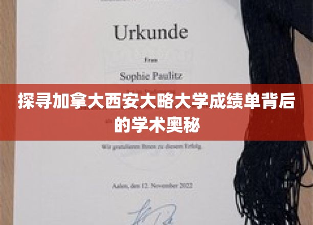探寻加拿大西安大略大学成绩单背后的学术奥秘