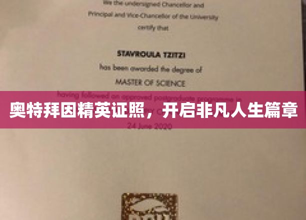 奥特拜因精英证照，解锁非凡人生新境界