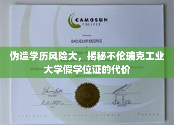 伪造学历风险大，揭秘不伦瑞克工业大学假学位证的代价
