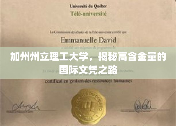 解码加州理工，探索高价值国际学历的黄金通道