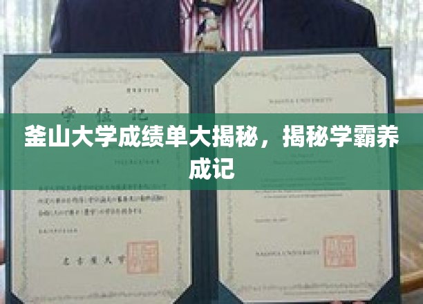 釜山大学成绩单大揭秘，揭秘学霸养成记